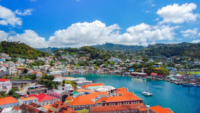 Grenada Citizenship: Advantages & Application Procedure