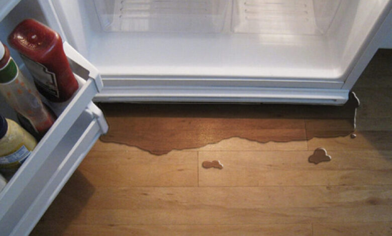 Leaks in a Refrigerator