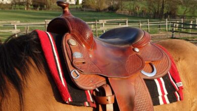 western-saddles-for-sale-in-ontario
