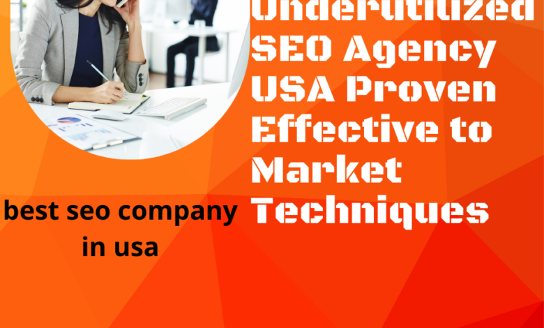 SEO Agency USA are Proven Effective