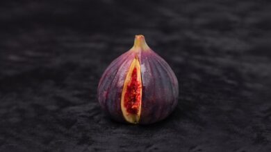 Various health benefits of figs
