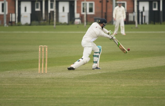 Tips To Become A Successful Cricket Gambler For Beginners